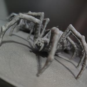Spider/Spider Halloween!
