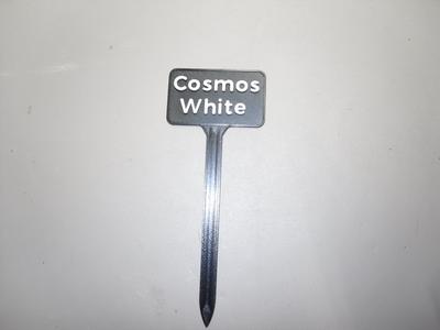 Plant Label White Cosmos