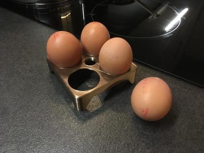 Egg Holder