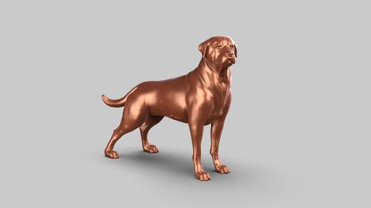 Rottweiler Pose 02