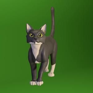 Kiwi The cat - 3D Model print figure