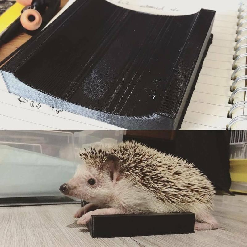 Feeding bed for disabled (WHS) hedgehogs