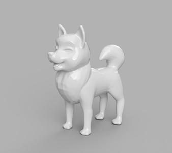 Shiba Inu Dog