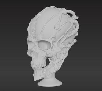 Skull decor