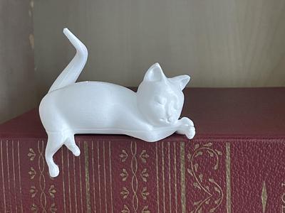 Sleeping kitten - no supports