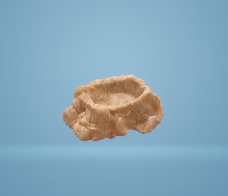 Natural Stone Water Dish/Feeder STL Model - No Supports Required, Fully Scalable for Terrariums