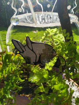 Bunny trellis for plants