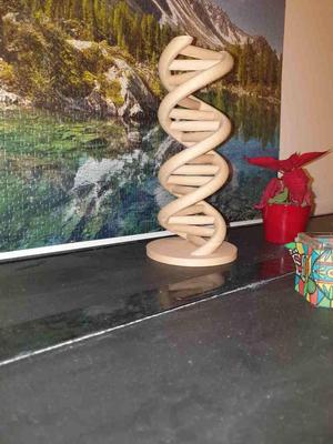 DNA scale model revised
