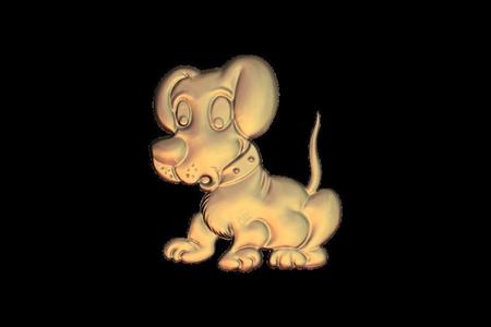 cute little dog