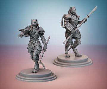 Brakkan Empire. War Maidens.