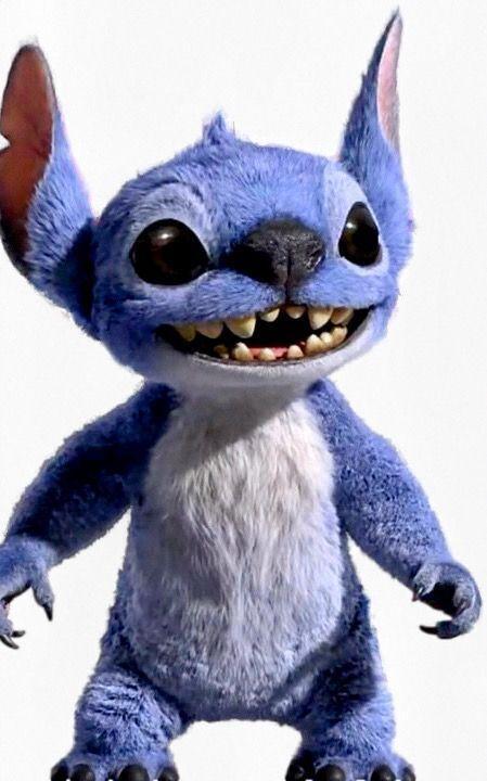Stitch