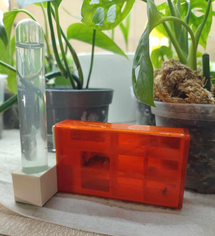 Formikarium tictac duże