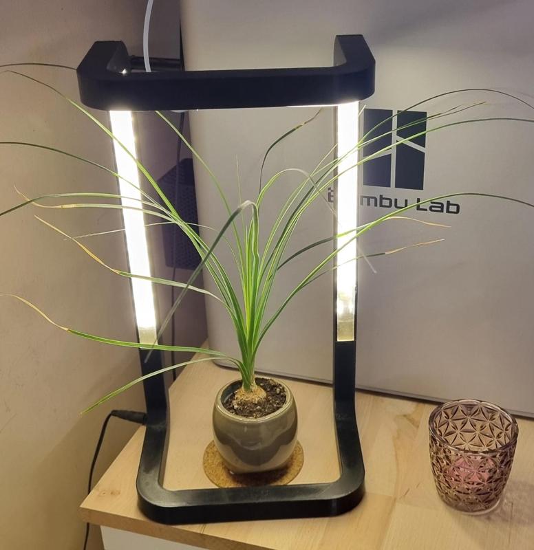 LED Light / Modern Lamp