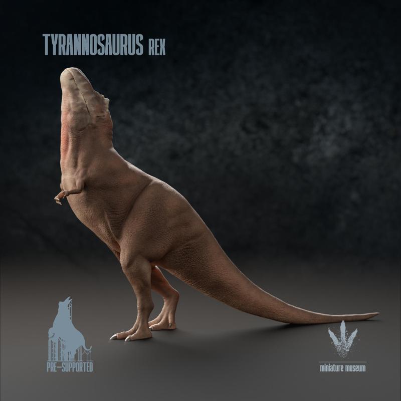 Tyrannosaurus Rex : Mating Display