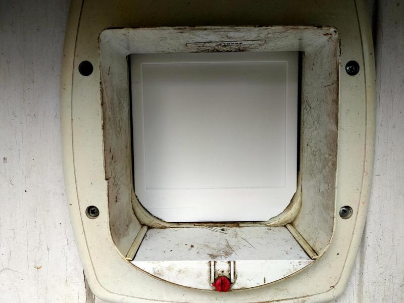 Cat Flap Door Replacement