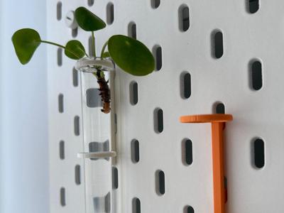 Ikea Skadis test tube stand for plant propagation