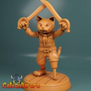 Pirate Cat