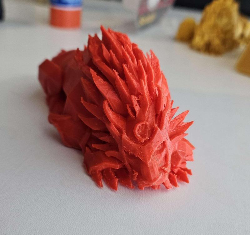 Feral Druid Fangs of Ashamane Mage Tower Cat Form, Sleeping