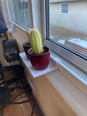 Window Sill Plant Shelf