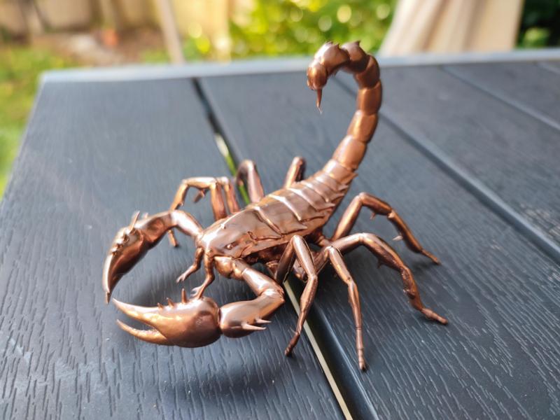 Scorpion inspired by ARK survival evolved