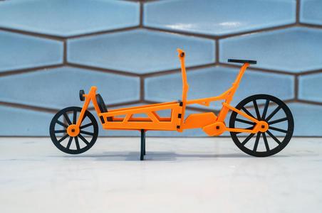 Riese & Muller Load 75 Cargo Bike Model