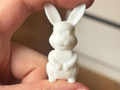 Little rabbit
