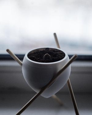 Small flower pot - on chopsticks