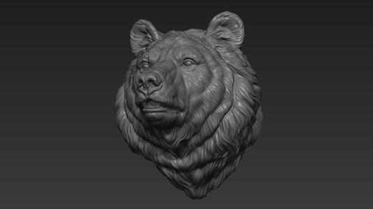 Bear head shaggy
