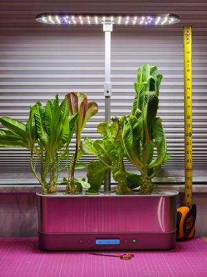 Grow light height extension mod for AeroGarden Harvest Elite