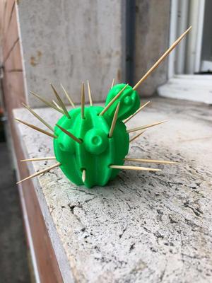toothpick cactus