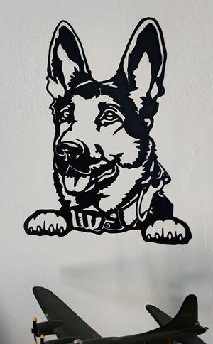 German Shepherd