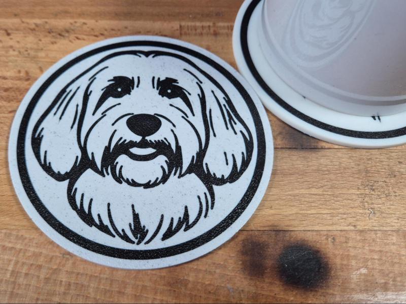 Coton de Tulear coaster