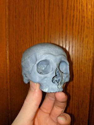 Human Skull remix