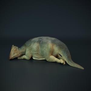Parasaurolophus baby sleeping - dinosaur