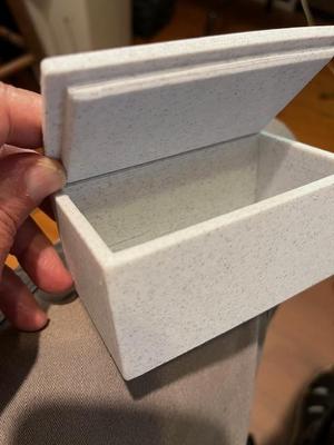 PETG Box with TPU Hinge