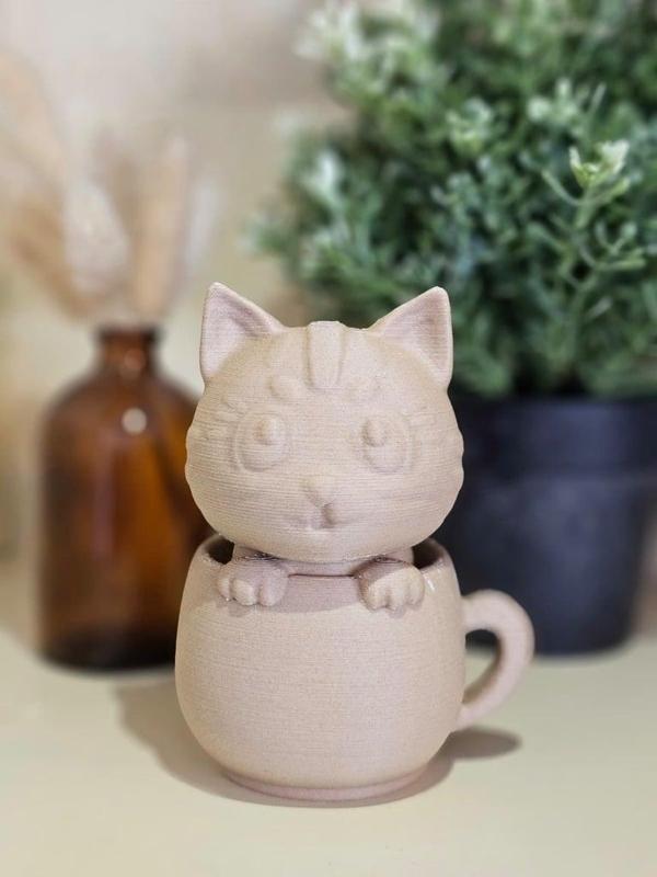 Cat in a cup