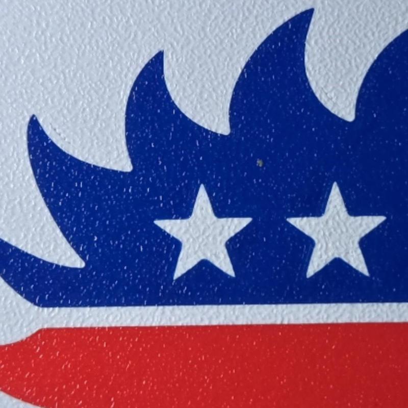 Libertarian Party Hedgehog Coaster