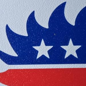 Libertarian Party Hedgehog Coaster