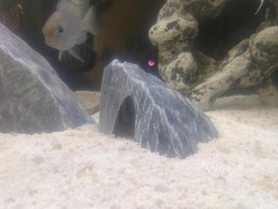 Aquarium Decoration - Textured Rock Cave - Medium B (angular)