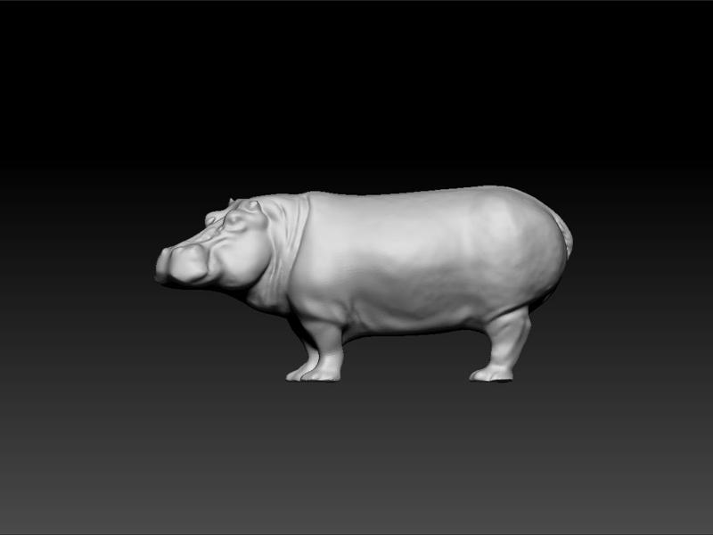 Hippopotame -Hippopotamidae - Hippo 3d model for 3d print - Hippo toy