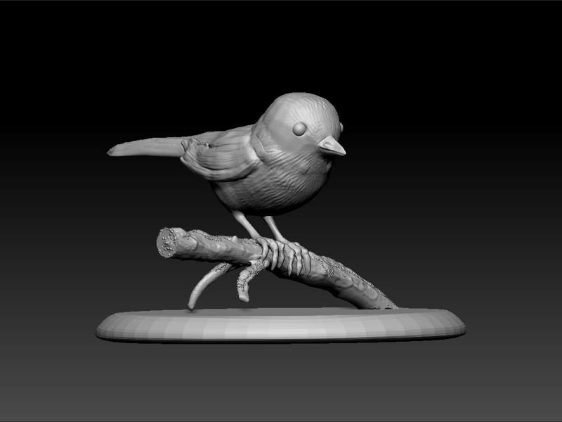 Bird - decoration bird - cute bird