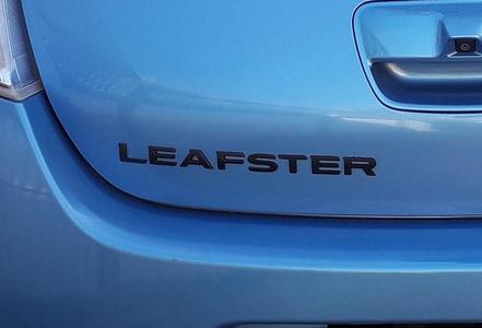 Leaf LEAFSTER logo extension