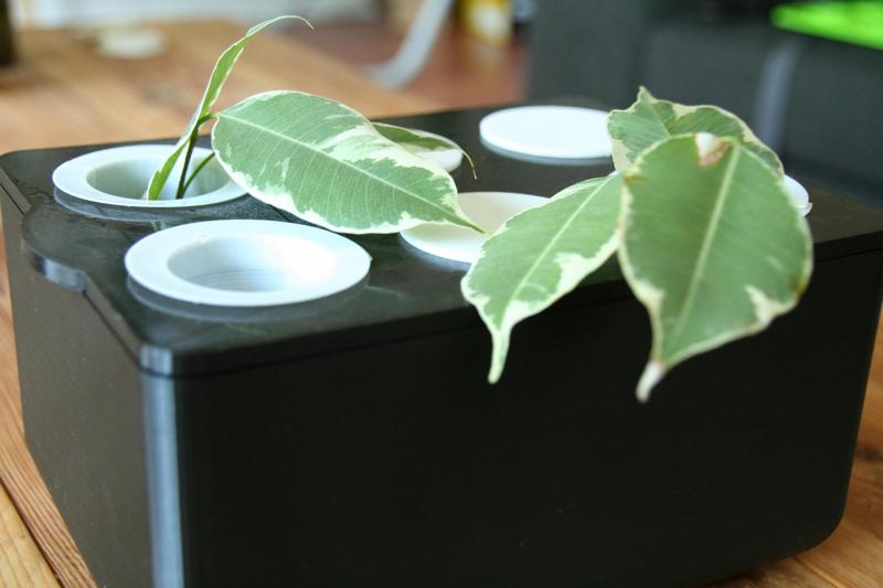 Taking cuttings box system