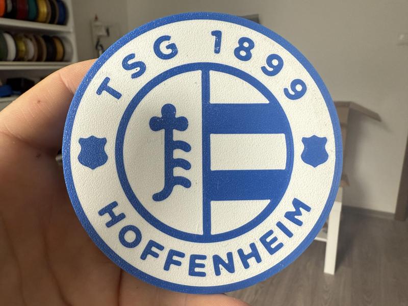 TSG Hoffenhaim coaster