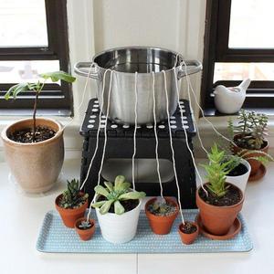 Self Watering Plant Pot