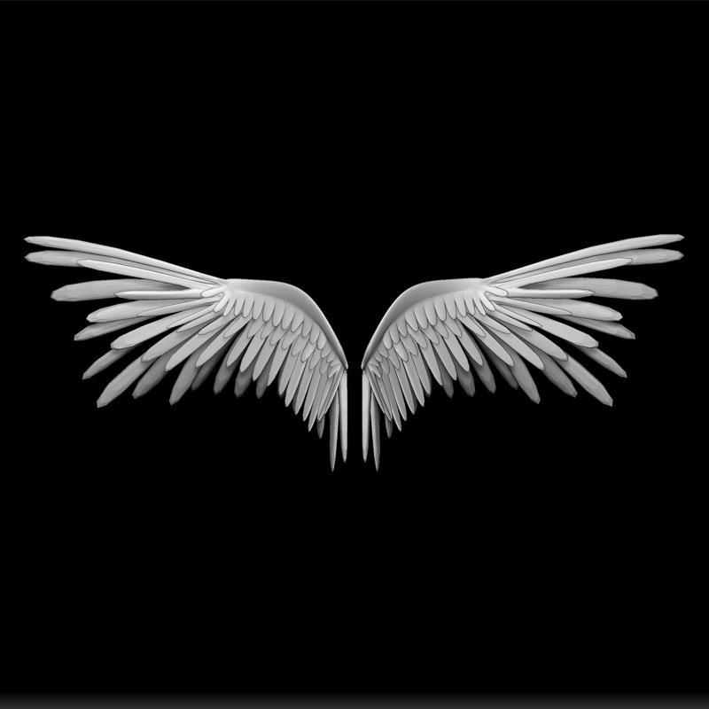 open wings - wings of angel