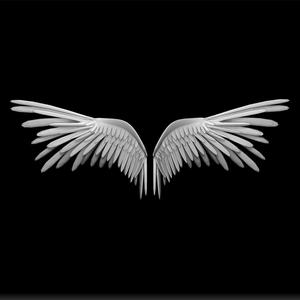 open wings - wings of angel