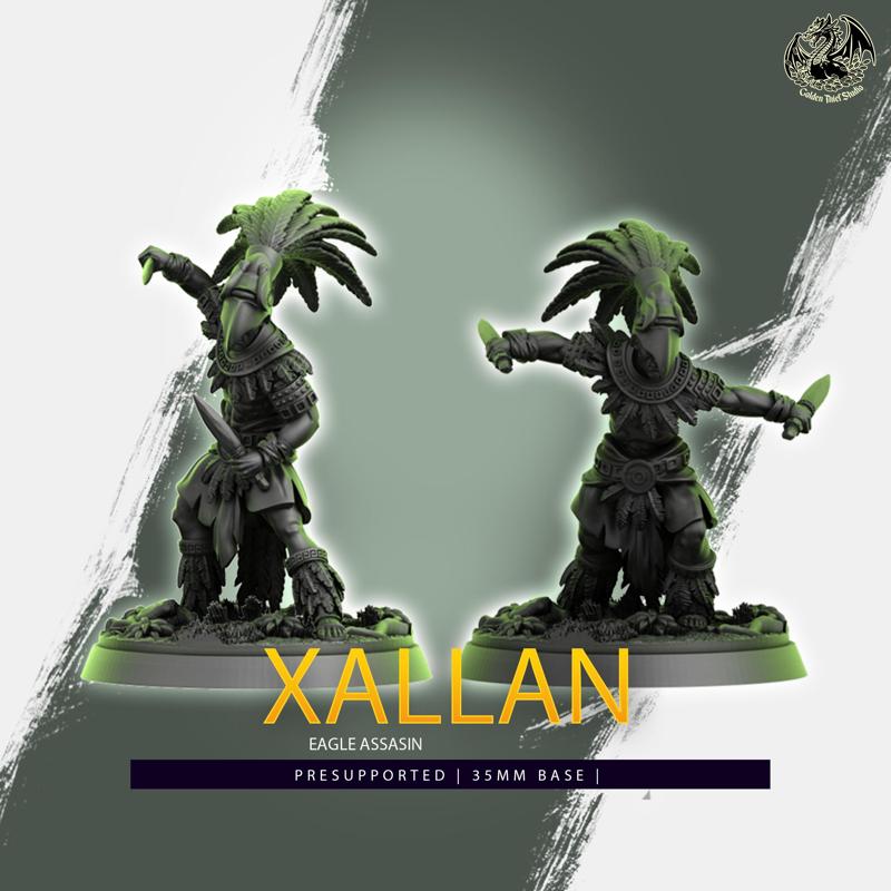 Xallan - Eagle Assassin -