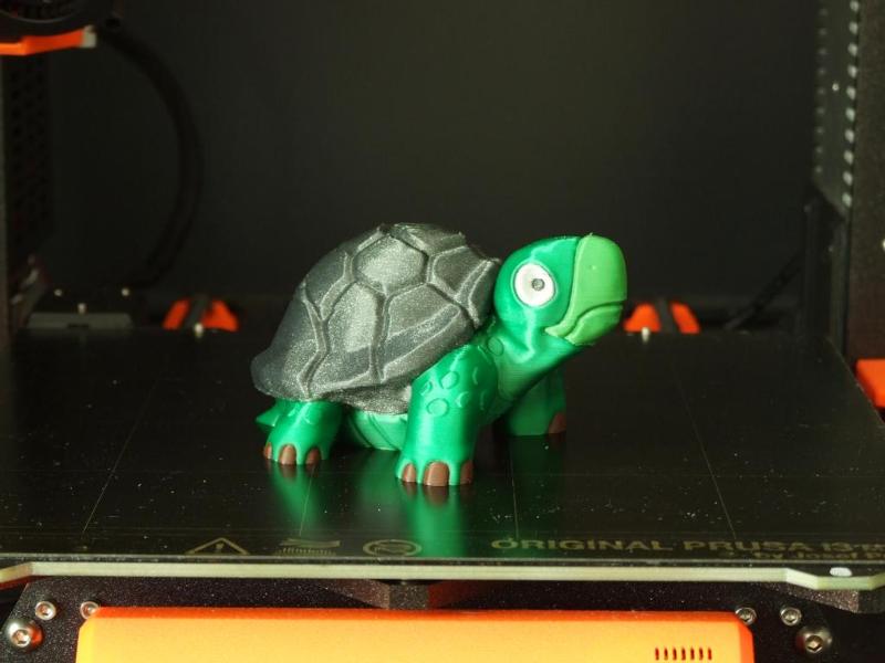 Young Tortollan (multi-material remix)