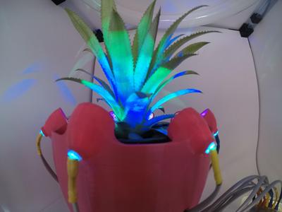 Led Based Decoration Pot